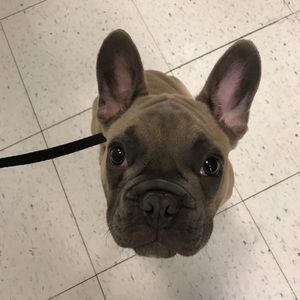 Meet your Posher, Anthony